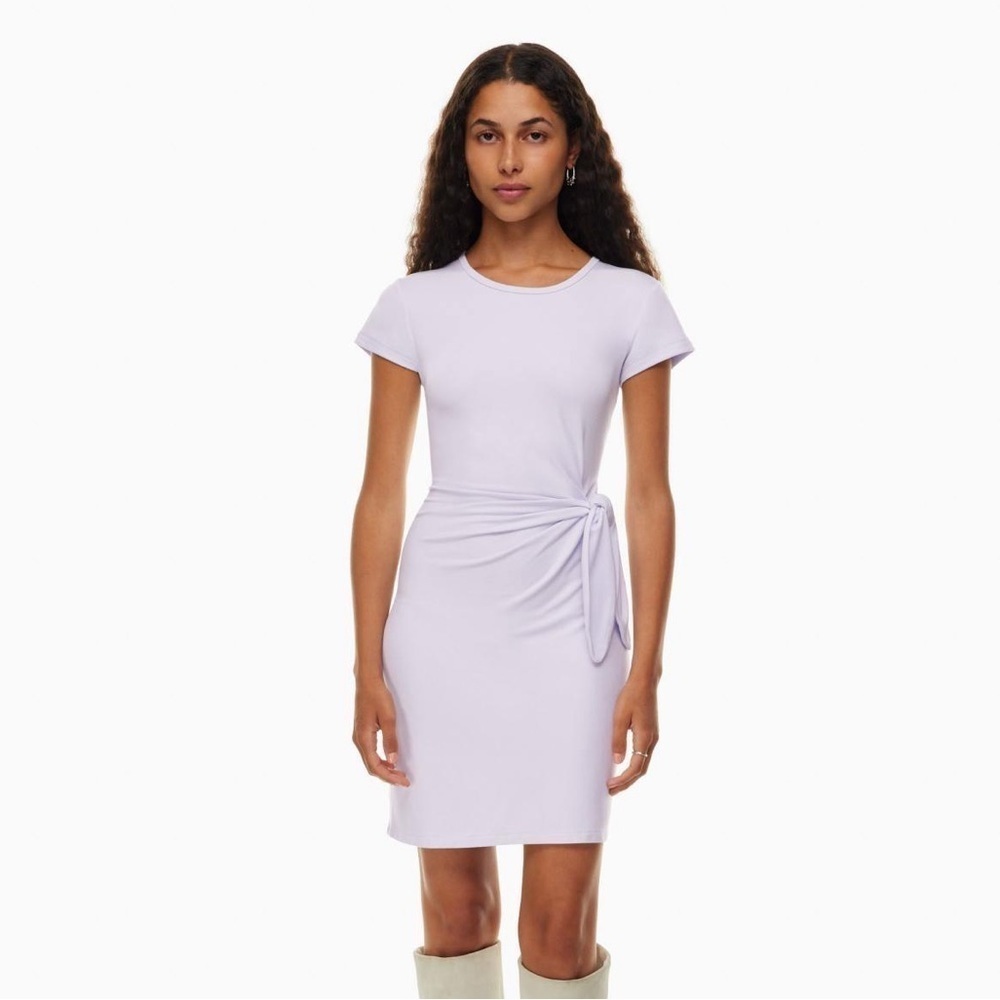 Aritzia Wilfred Fortune Mini Dress